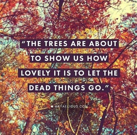 Pin By Katie Smith On Renew Thyself Quotes About Moving On Autumn