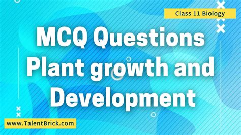 Mcq Plant Growth And Development Chapter 15 Biology Class 11 Talentbrick