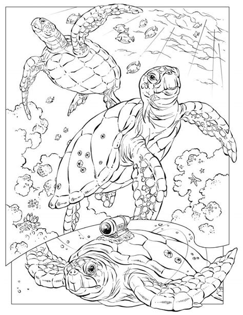 Simple turtles coloring page to print and color for free. Free Printable Ocean Coloring Pages For Kids