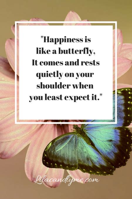 Happiness Is Like A Butterfly Quote Quotes Butterfly Butterfly Quotes