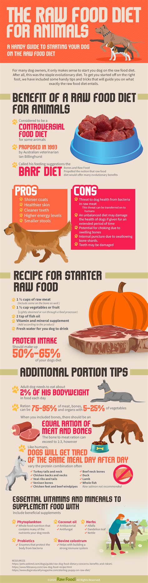 Advocates of the raw food diet suggest that dogs are the healthiest on this diet since this is how they ate prior to being domesticated. A Guide to a Raw Food Diet for Dogs | Raw food diet, Raw ...