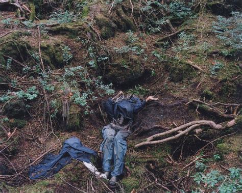 The Forest The Legendary Of Aokigahara Forest Our Travelogue Ourstories
