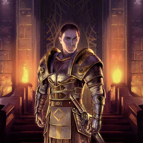 The Elder Scrolls Fantasy Character Art Rpg Character Character
