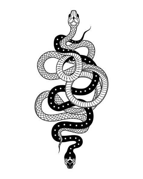 Pin By Sof Larios On Тату Snake Tattoo Design Snake Drawing Tattoo
