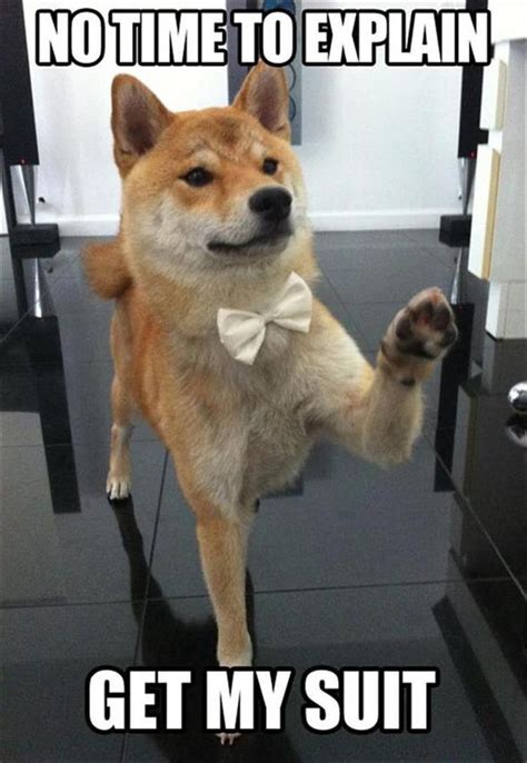 227 Best Images About Doge Meme Dog Memes On Pinterest Funny