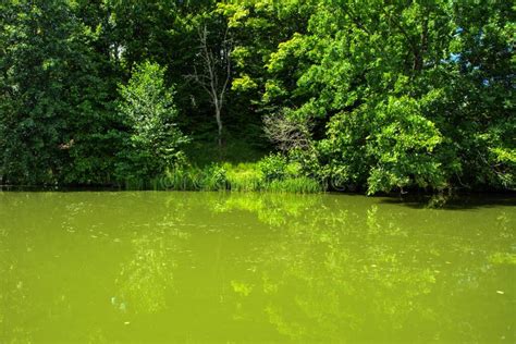 A Beautiful Image Of Landscape From The Center Of The River Surrounded