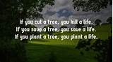 Save Trees Quotes Photos