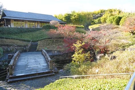 京都市洛西竹林公園 竹の資料館／竹の径 | 京都乙訓いとをかし