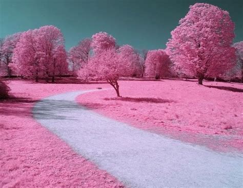 Pin By Rebecca Miller On Pretty In Pink Beautiful Landscapes