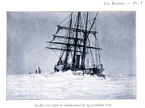 At 12mm (1/2 inch) long, it is the largest purely terrestrial animal on the continent. Belgica, Adrien de Gerlache - Ships of the Antarctic explorers