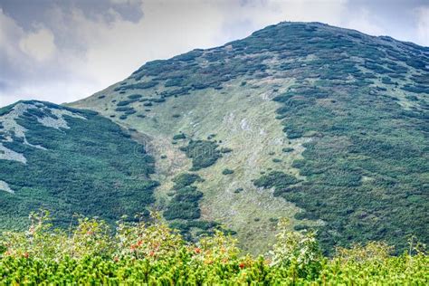 Mountain Krivan In Little Fatra Stock Photo Image Of Path Landscape