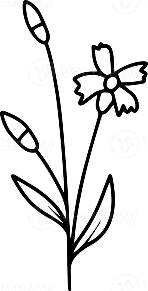 Free Flowers Sketch Line Art Illustration 10863431 Png With Transparent