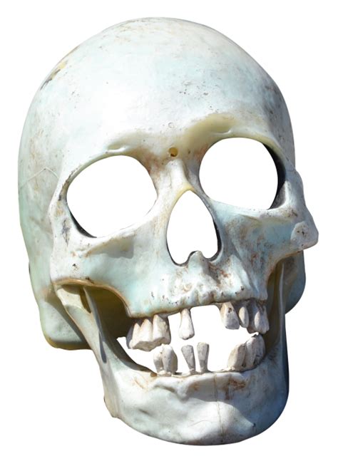 Portable Network Graphics Transparency Clip Art Skull Image Skull Png