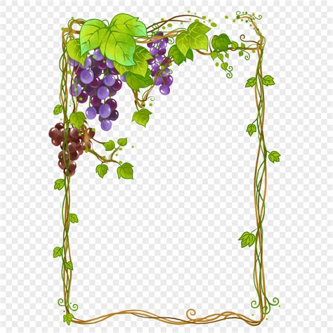 Grape Borders Png Images With Transparent Background Free Download On