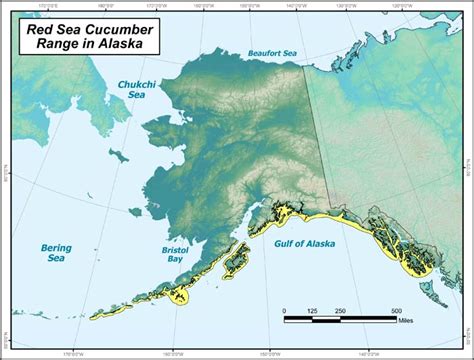 Red Sea Cucumber Range Map Alaska Department Of Fish And Game