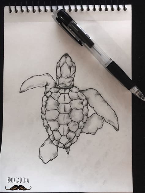 Turtle Tattoo Turtle Drawing Turtle Sketch Sea Turtle Tattoo