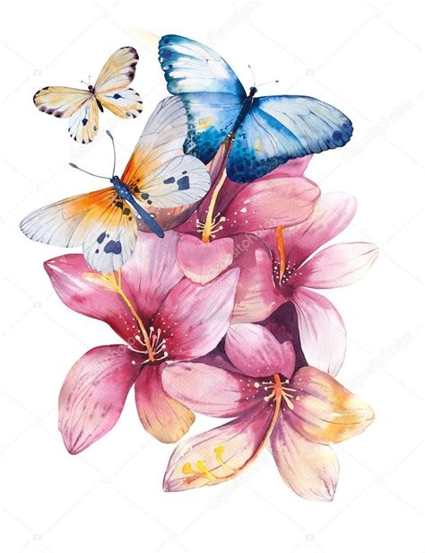 Hand Drawn Roses Butterflies — Stock Photo © Mykef 106997504