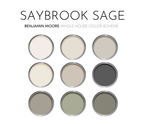 Saybrook Sage Benjamin Moore Paint Palette Warm Neutral Interior Pain