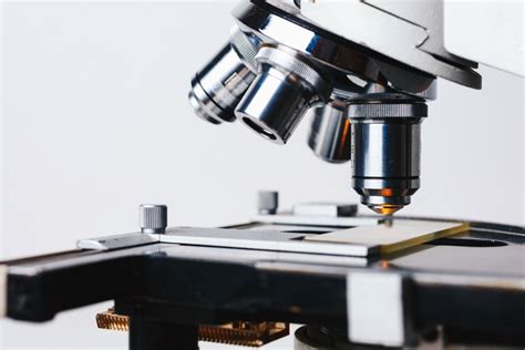 Mengenal Fungsi Lensa Okuler Dan Objektif Pada Mikroskop Pt