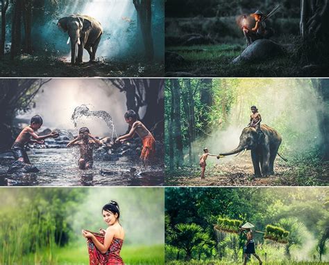 Lightroom presets can streamline your workflow and help you create a professional photography portfolio in no time. 20 Best Lightroom Presets For Pro Results 2020 - Colorlib