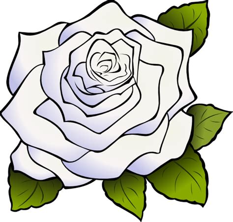 White Roses Are Often Called Clipart Panda Free Clipart Images