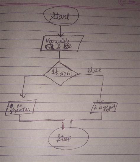 Algorithms Flowcharts Flowchart To Find Biggest Of Two Numbers Hot