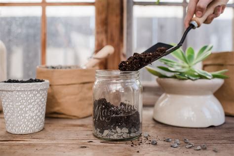 We did not find results for: How to Plant in a Pot Without Drainage Holes | Magnolia ...