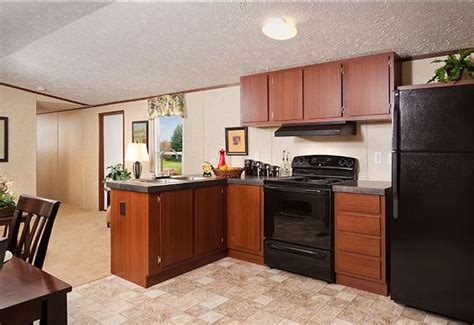Frosted cabinets are great for a more modern element, while painted cabinets make for a nice but inexpensive touch. 133 best Mobile home remodeling ideas images on Pinterest ...