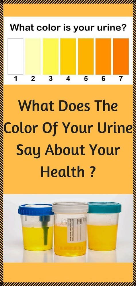 Heres What The Color Of Your Urine Says About Your Health In Health Color Of Urine Color