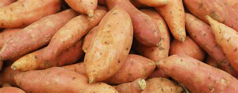 Sweet Potato Fresh Grown Year Round By Hydro Produce Australia