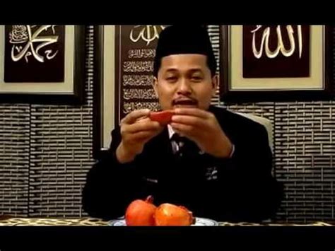 Fungsi lemon ialah untuk menumpulkan batu karang supaya tak mencederakan organ dalaman semasa proses keluar dari tubuh badan. Rawatan Penyakit Kanser, Buah Pinggang & Batu Karang ...