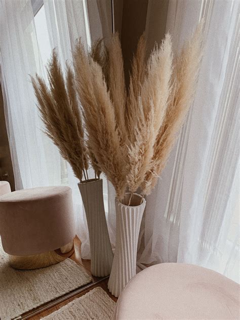 23 Photos Of Pampas Grass Vase Decor Collection Marlittacem