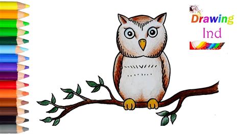 13 gambar sketsa burung hantu. inilah Cara Mudah Menggambar dan Mewarnai Owl Burung Hantu ...