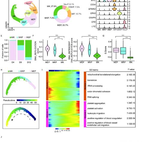 Single Cell Transcriptomic Profiling Of Human Megakaryopoiesis From