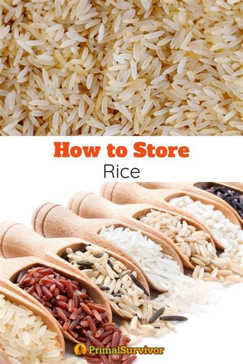 How long can rice last? How to Store Rice For The Long Term | Long term food ...