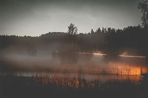 Sunset Lake Trees Forest Mist Fog Dusk Pikist