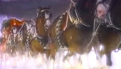 Beautiful christmas commercial that will bring tears to your eyes. Budweiser Clydesdale Christmas TV Clip Puts Us All In The ...
