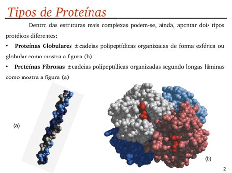 Proteínas 1 Estrutura Primária é A Sequência Dos Aminoácidos Na Cadeia