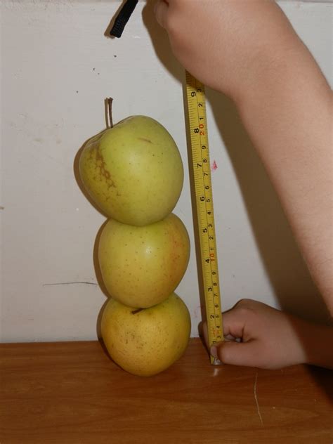 Haut comme combien de pommes