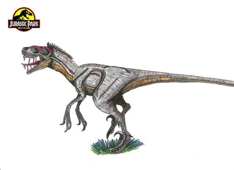 Image Jurassic Park Velociraptor By Hellraptor Dinosaur Wiki Fandom Powered By Wikia
