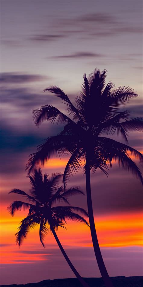 Palm Trees Purple Sunset Acrylic Block By Fred Bahurlet Wamdesign
