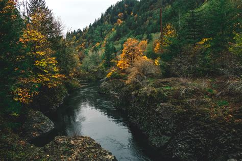 Michaelpocketlist Fall Colors Tillamook State Forest Oregon Oc