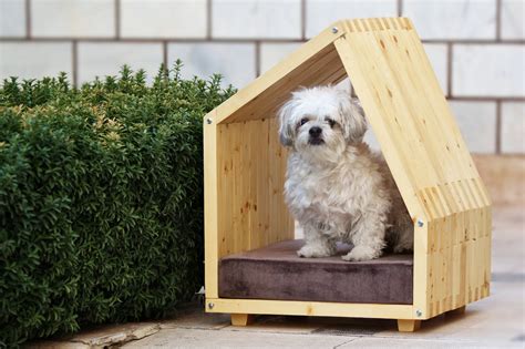 9 Cozy Dog Homes For Indoors And Outdoors Digsdigs