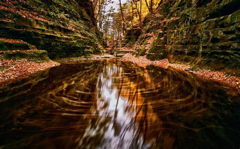 Download Wallpapers Dark Canyon Autumn Mountain River Yellow Leaves