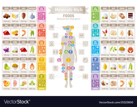 Mineral Vitamin Suppliment Food Icons Healthy Vector Image