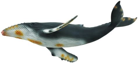Buy Collecta Hump Back Whale 88347