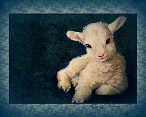 Baby Lamb Art By Melody Lea Lamb 8 X 10 Giclee Print Etsy
