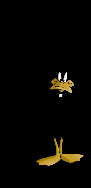 4k Daffy Duck Wallpaper Whatspaper