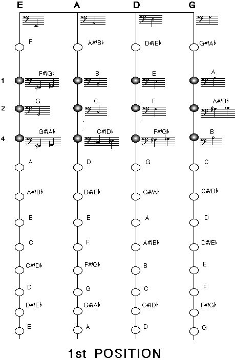 Fingering Charts For Common Upright Bass Technique Postions