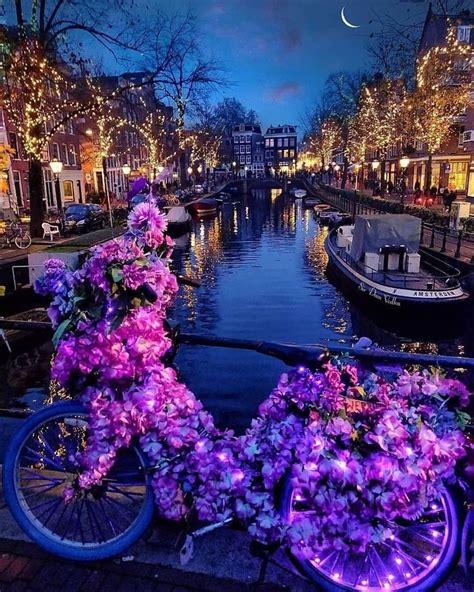 city best views🔝 on instagram “📍 amsterdam netherlands 🇳🇱 📷 amsterdam special follow